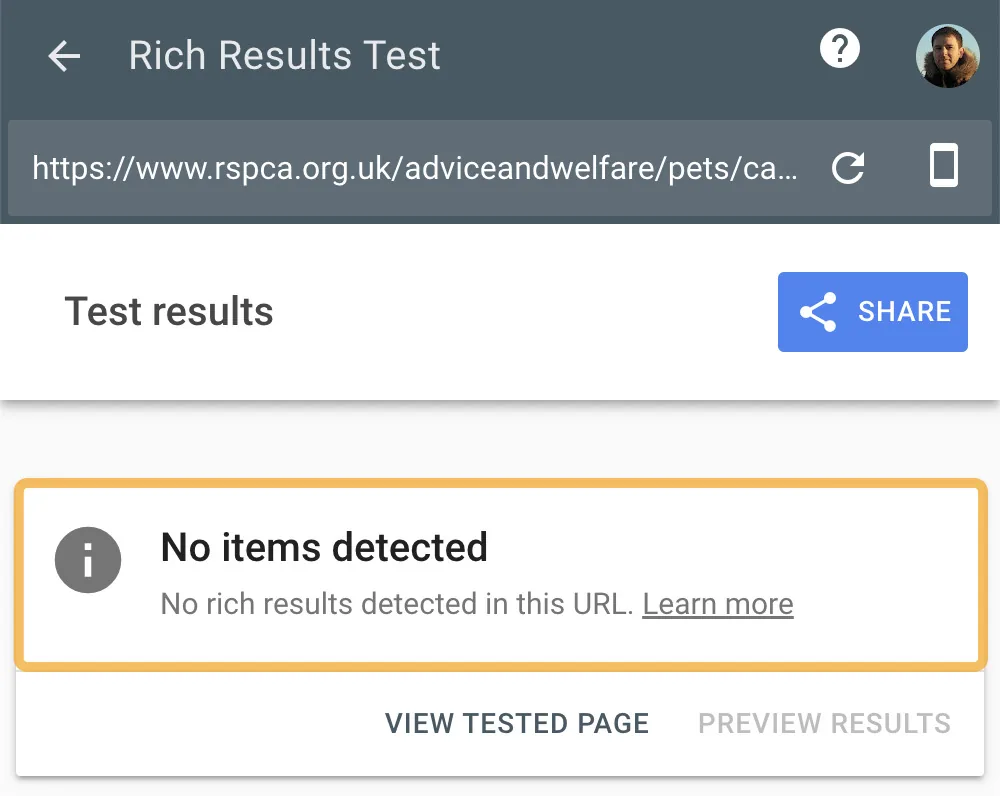 通过 Rich Results Test 显示的未检测到任何项目提示