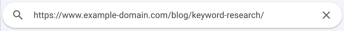 输入网站 URL