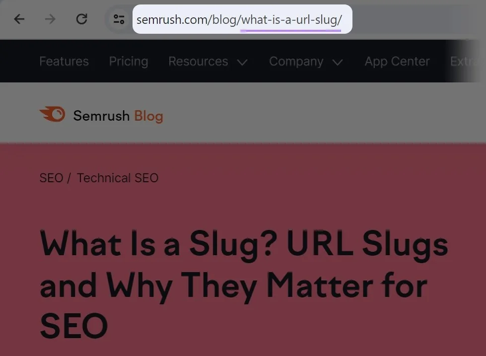 浏览器中突出显示的优化后 URL slug。