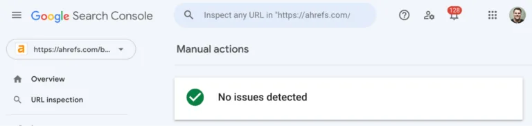GSC 里显示的「No issues detected」（未检测到问题）提示
