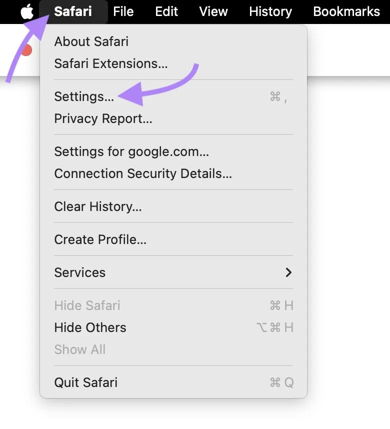 点击浏览器顶部菜单中的“Safari”按钮，并从列表中选择“Settings”。