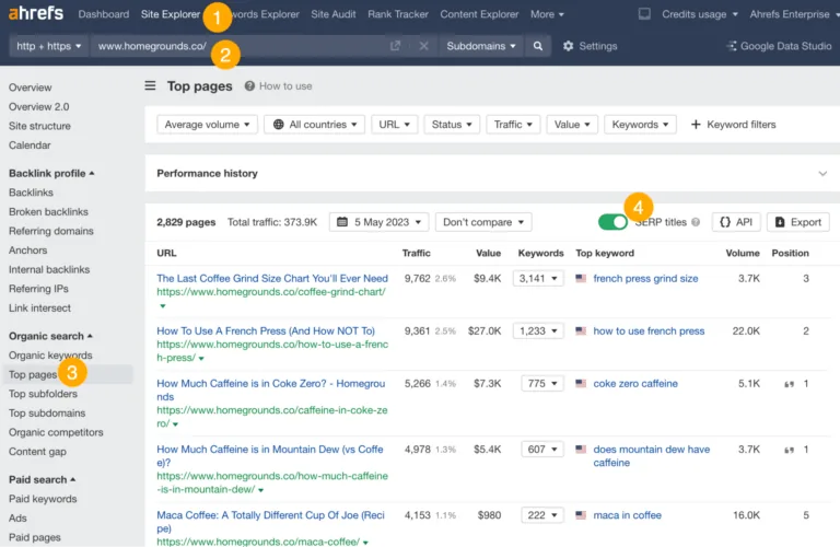 通过 Ahrefs 的 Site Explorer 查看 Top pages 报告