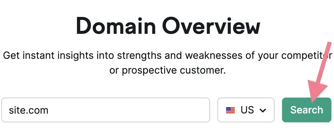 Domain Overview 工具起始界面，已输入域名并点击 Search。