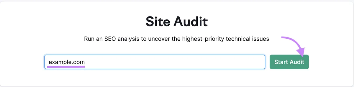 在 Start Audit 搜索栏中输入的“example.com”