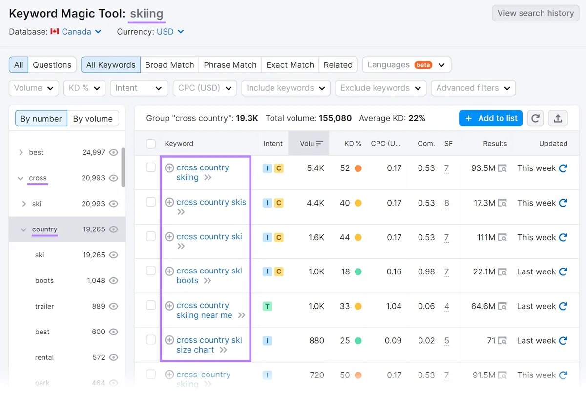 Keyword Magic Tool 中“skiing”的结果
