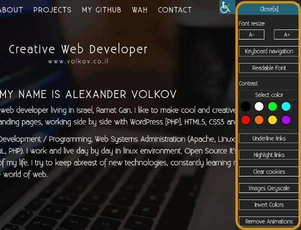 WP Accessibility Helper 切换按钮