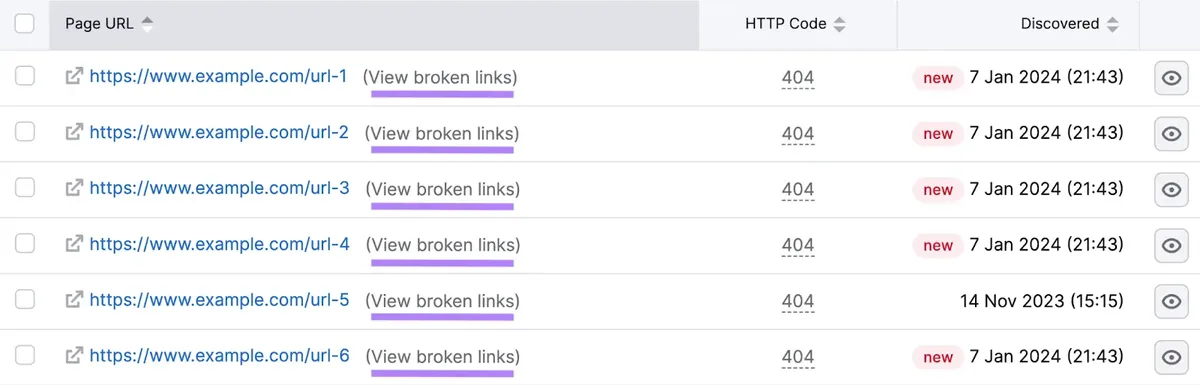 Site Audit 工具中的 404 错误列表