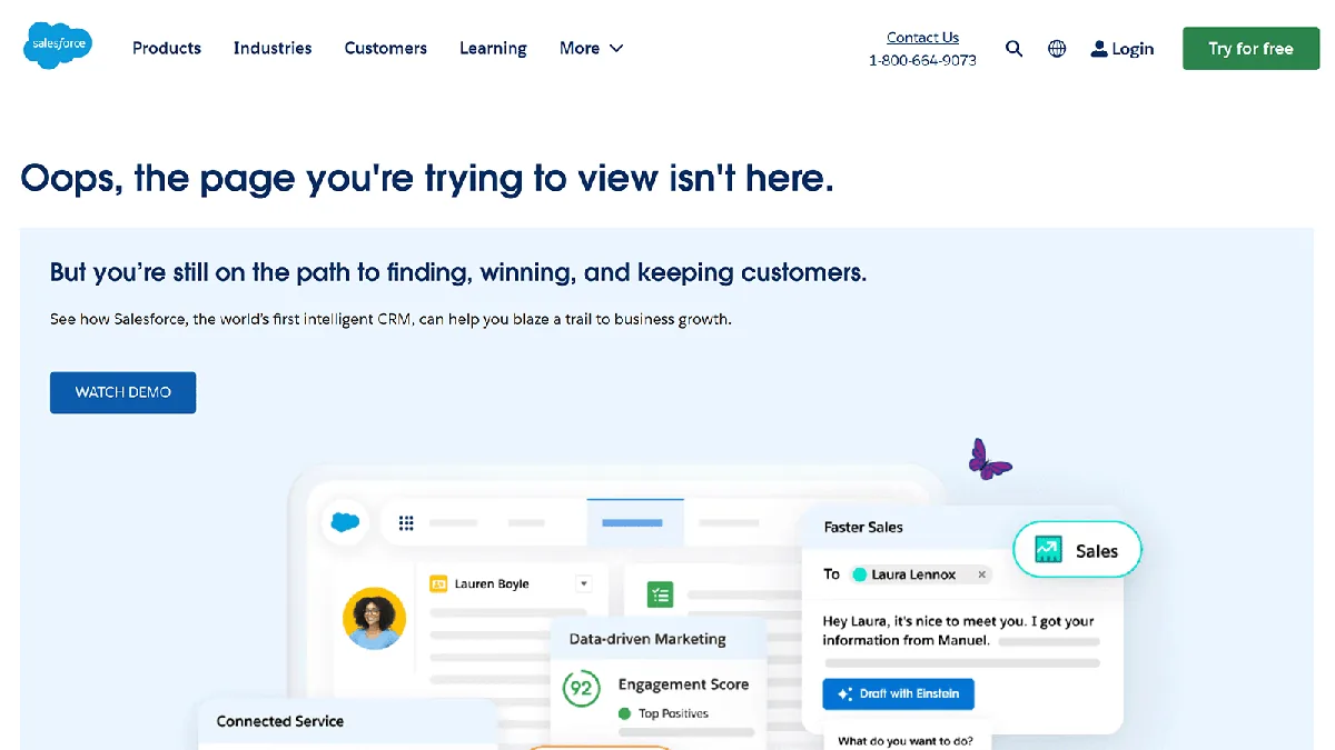 Salesforce 404 页面