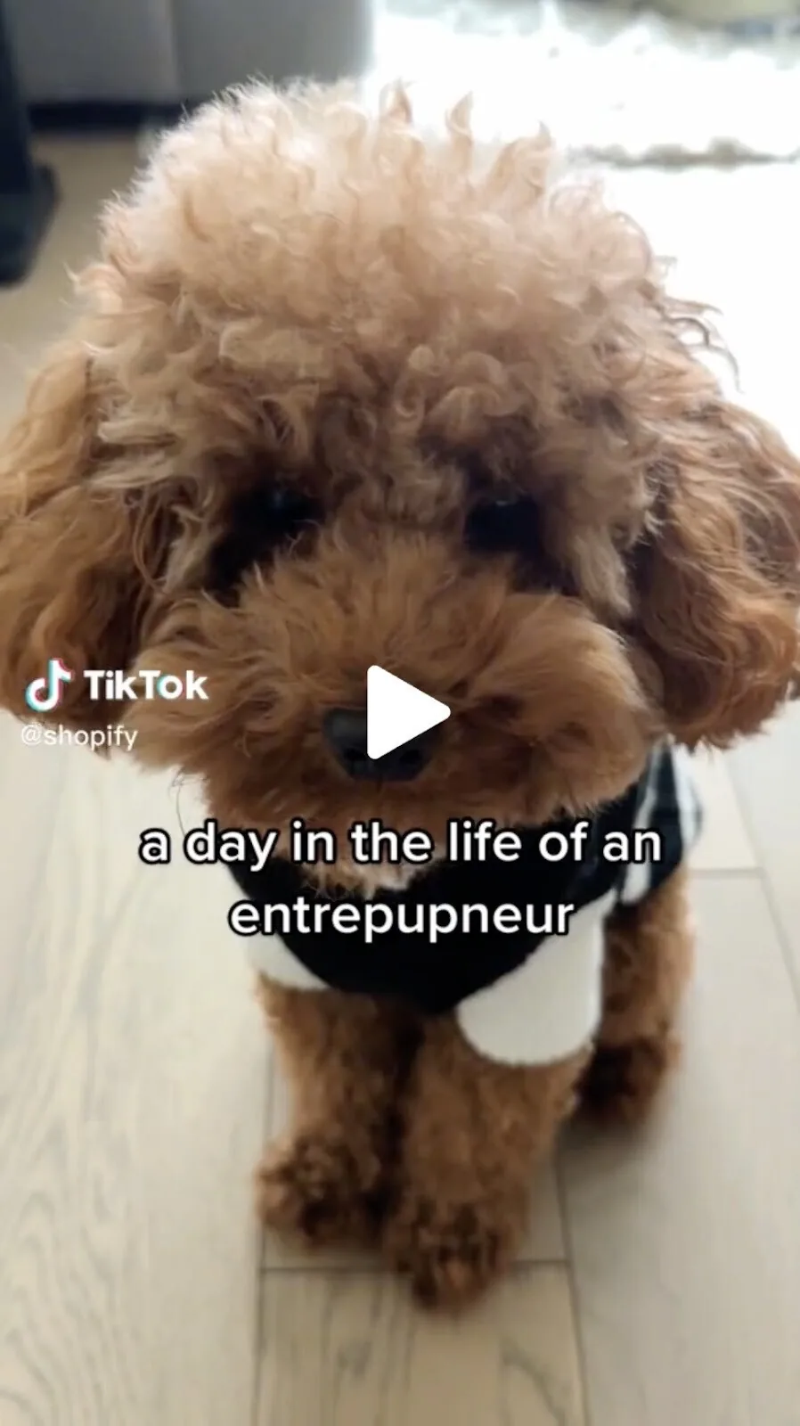 Shopify 的“创业者的一天”TikTok 视频