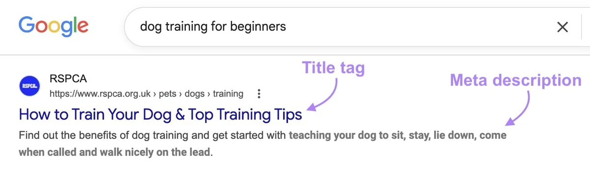 术语“dog training for beginners”的搜索结果页面列表，标题标签和元描述被突出显示。