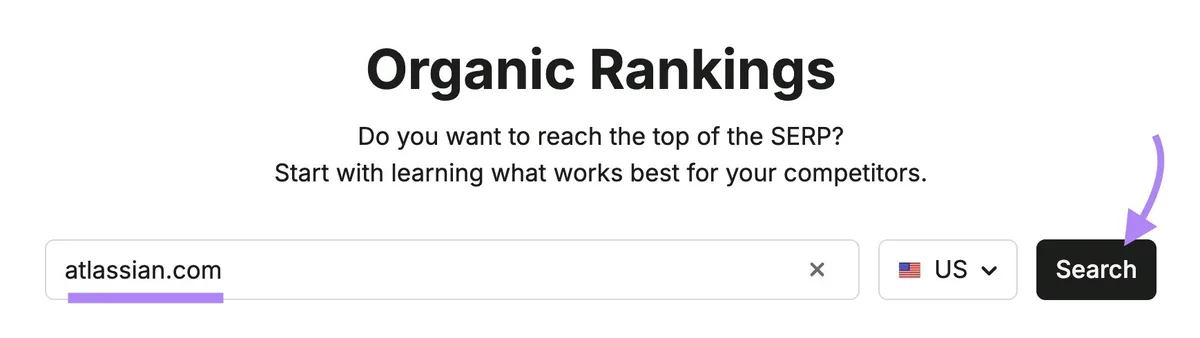 Organic Rankings 工具起始页，已输入域名并点击“Search”。