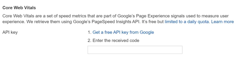 在 Ahrefs 的 Site Audit 中输入你的 PSI 密钥