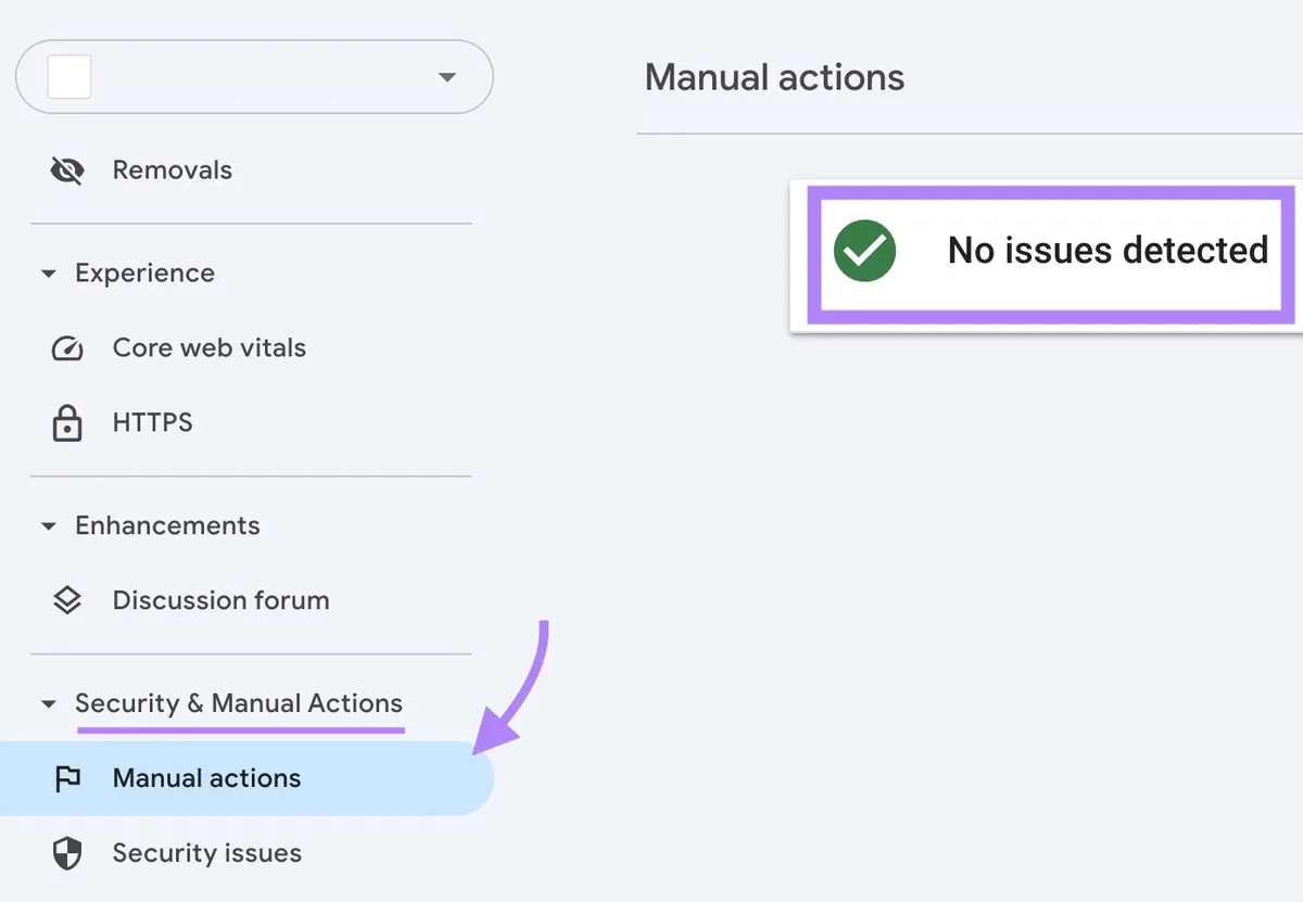 Google Search Console 上 Manual actions 页面高亮“No issues detected”信息。