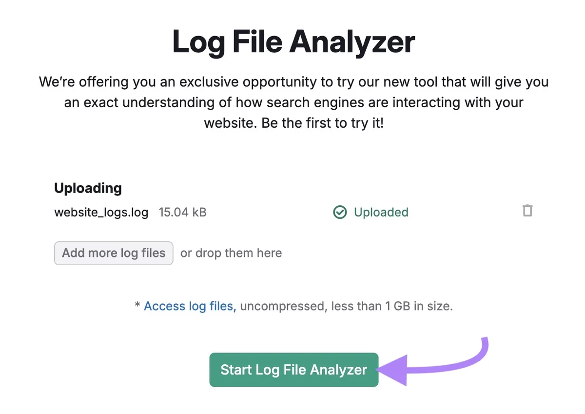 Log File Analyzer 已上传一个文件,且