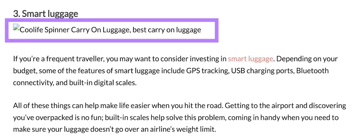 图片位置显示为一个撕裂的图片图标，alt 文本为 coolife spinner carry on luggage