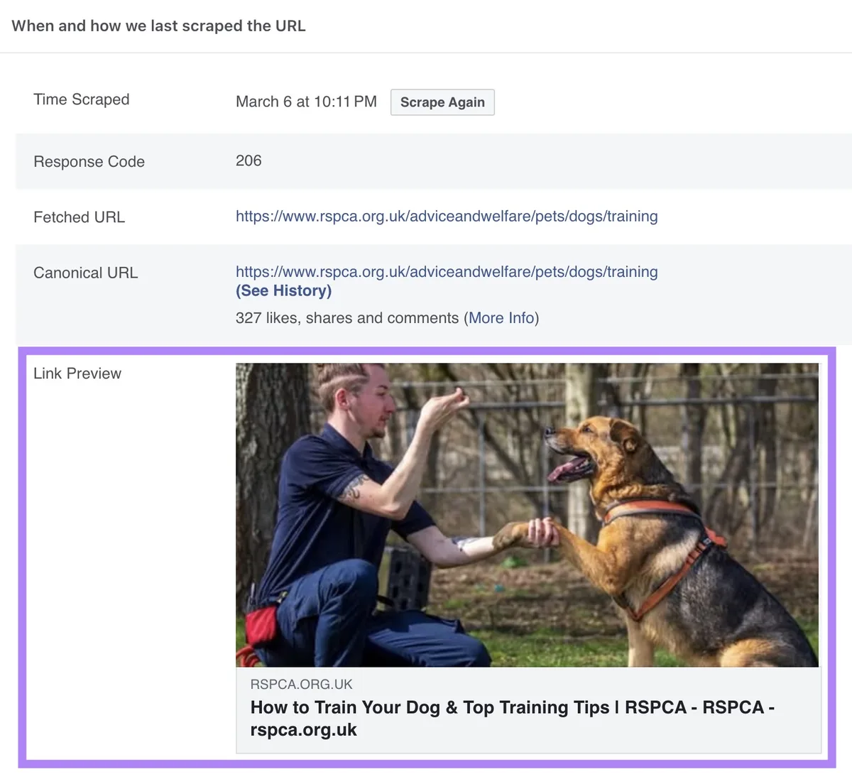 Meta 的 Sharing Debugger 工具上的链接预览部分,显示带链接的帖子在 Facebook 上的呈现效果。