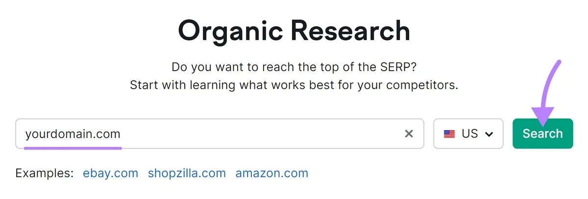 Organic Rankings 工具搜索栏