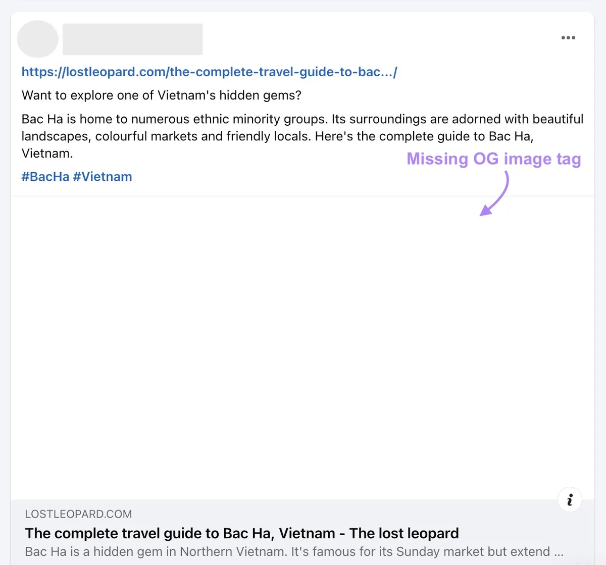 在 Facebook 上分享的不带开放图谱图片标签的博客文章。