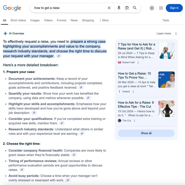 AI 概览（AI Overview）示例