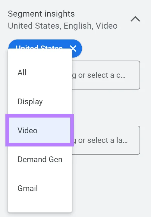 在“Segment insights”部分下的广告系列类型中选中的“Video”