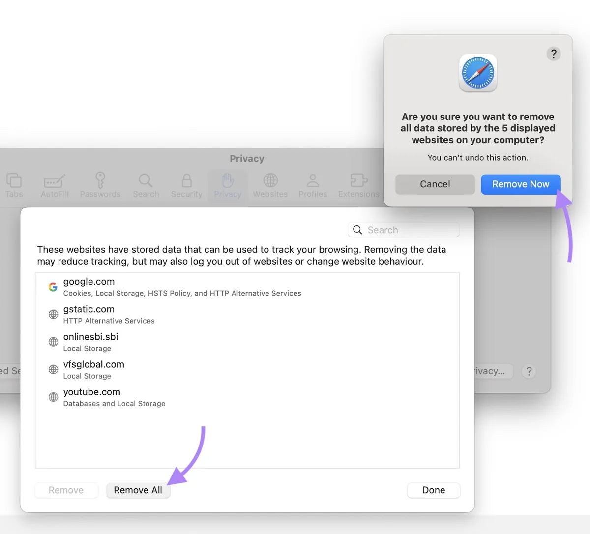 Safari 上的“Manage Website Data”窗口，点击了“Remove All”，随后在提示时点击了“Remove Now”。