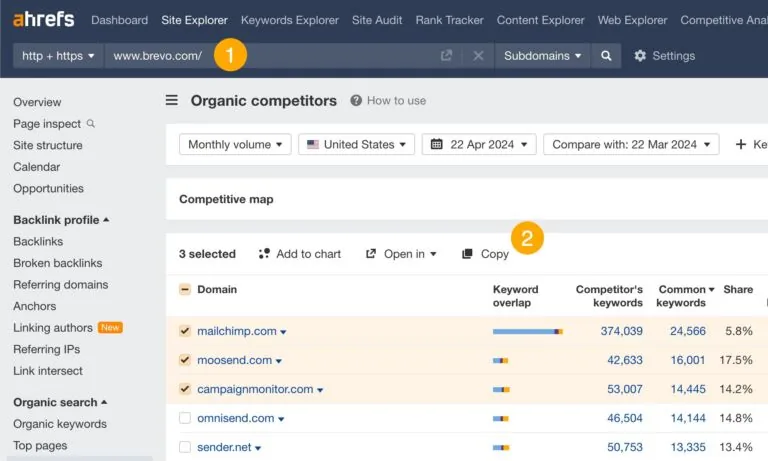 Ahrefs 中的自然搜索竞争对手报告。
