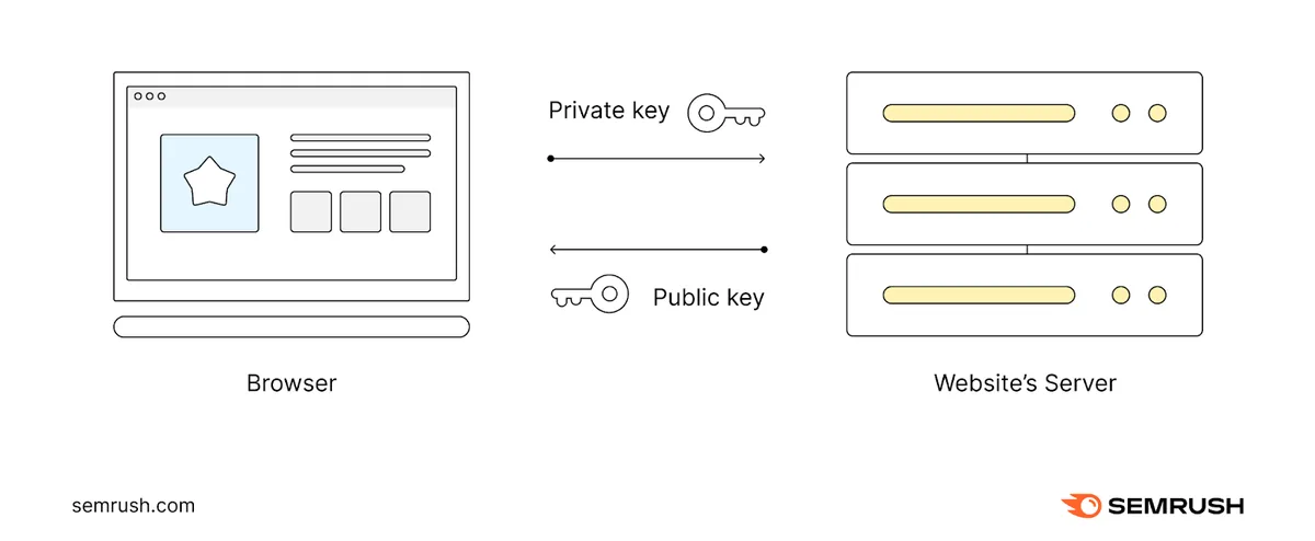 SSL/TLS 证书验证通过后,浏览器与网站服务器交换密钥