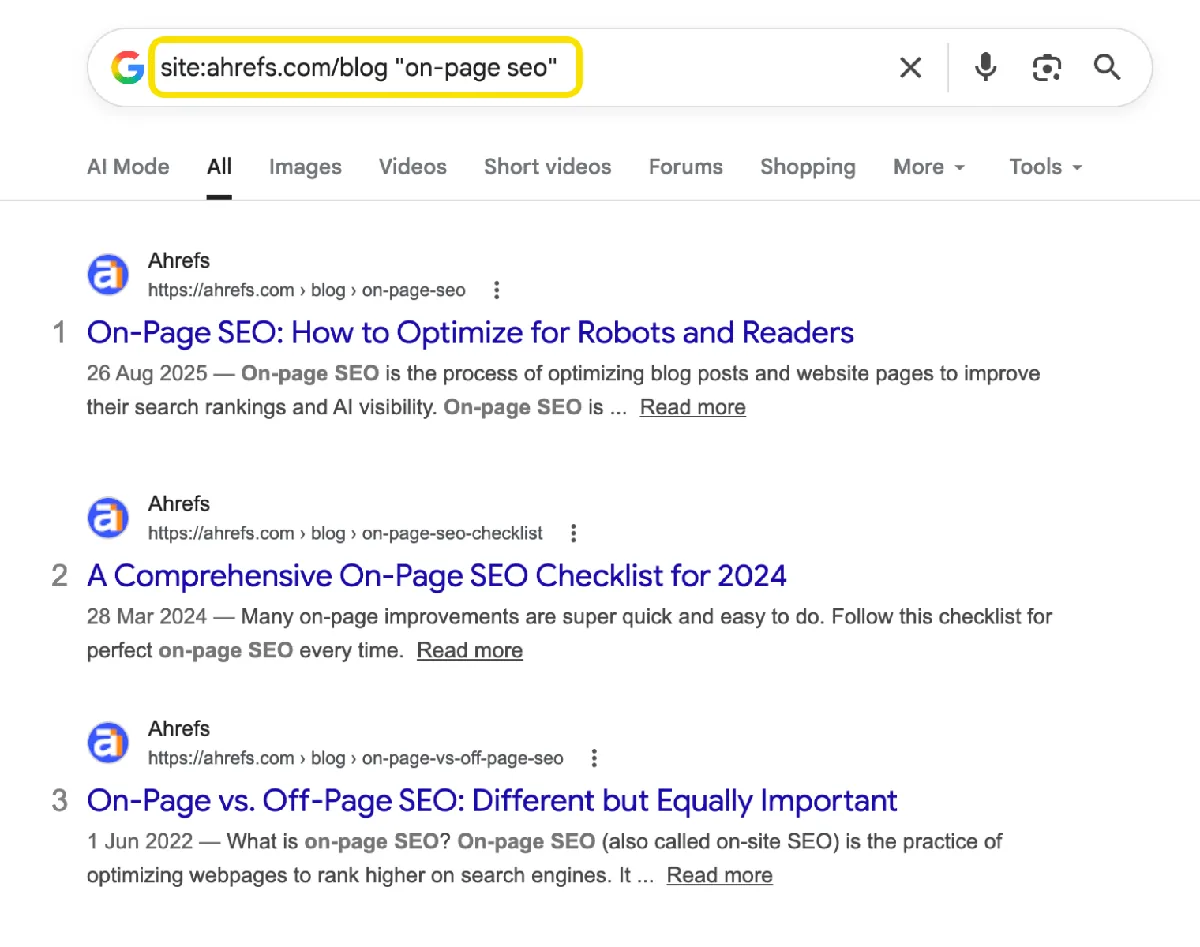 显示内部页面连接的 Google 站内搜索