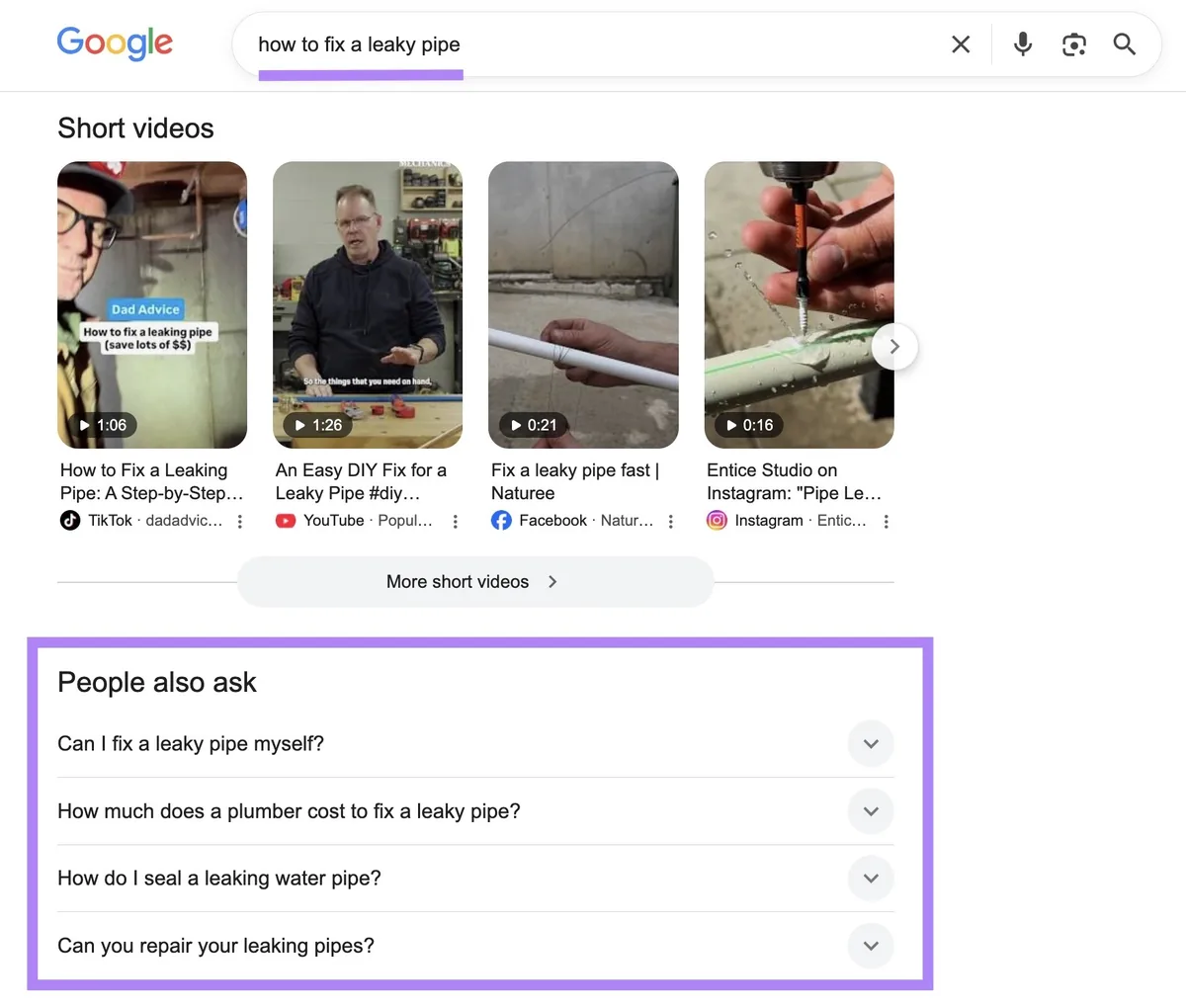 词条“how to fix a leaky pipe”的 Google 搜索结果页面，People also ask 部分已高亮显示。
