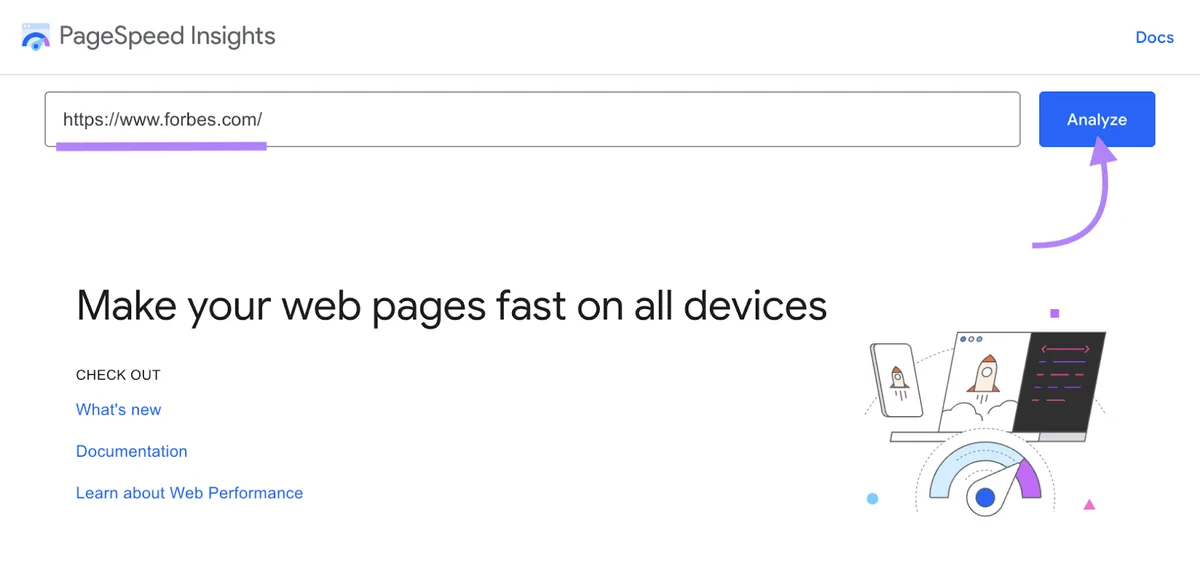 在 PageSpeed Insights 工具中输入的 URL