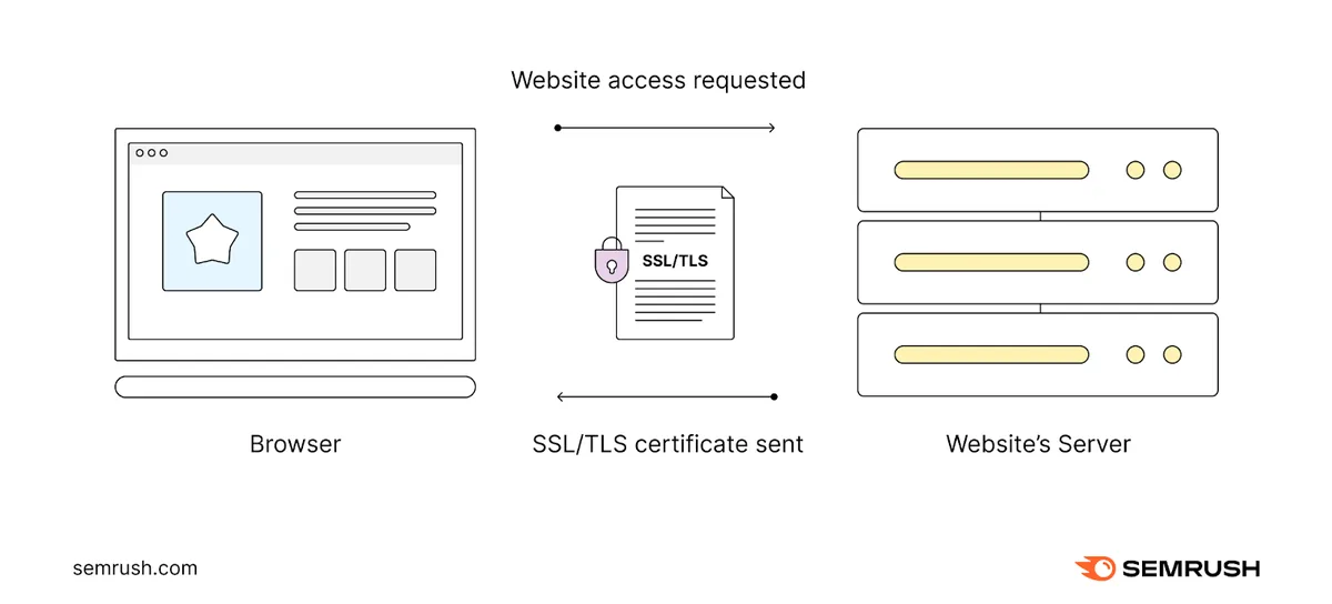 网站服务器向尝试使用 HTTPS 连接该网站的浏览器发送 SSL/TLS 证书