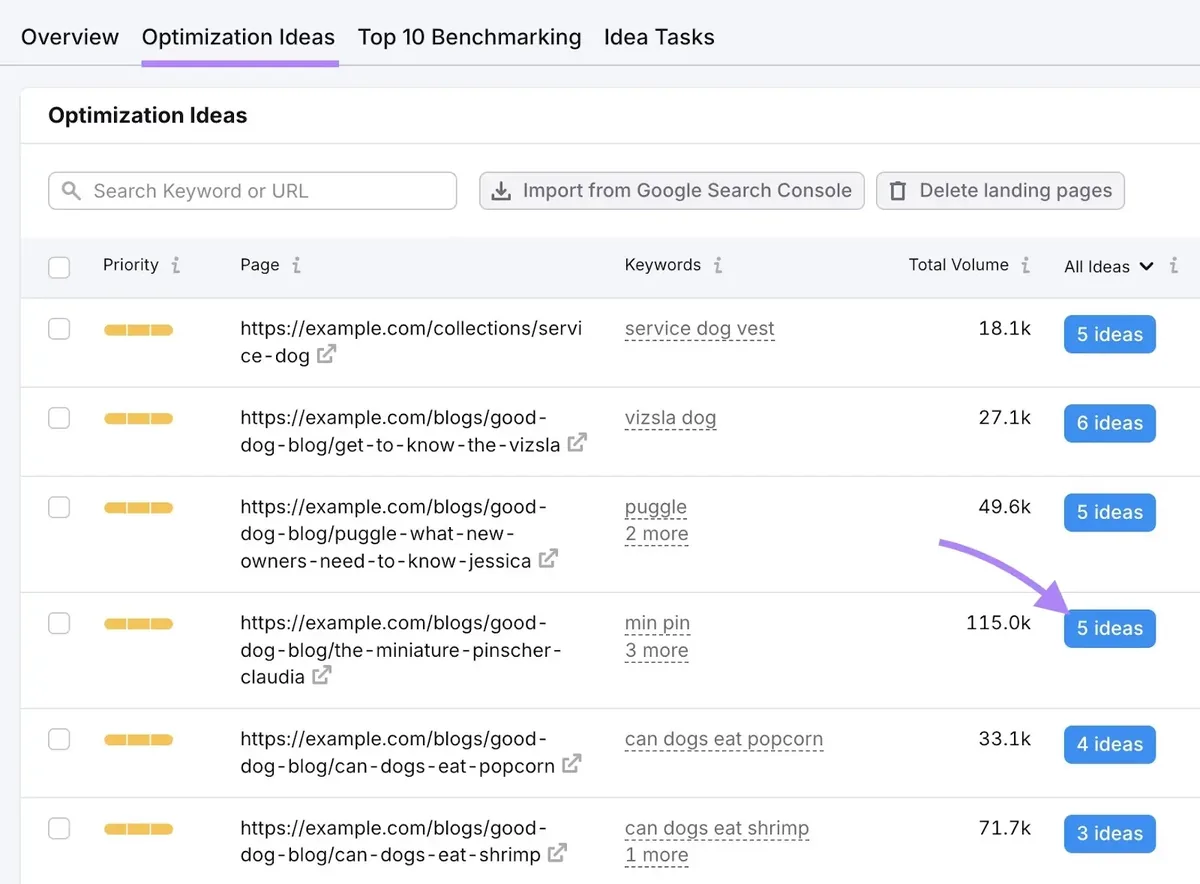 On Page SEO Checker 上的优化建议,已点击某页面旁的“5 ideas”。