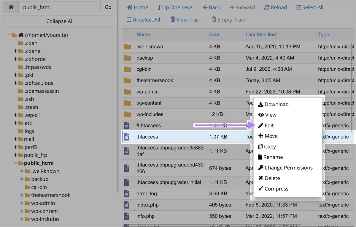 在 cPanel 上右键点击“.htaccess”文件，从出现的选项中选择“Edit”。