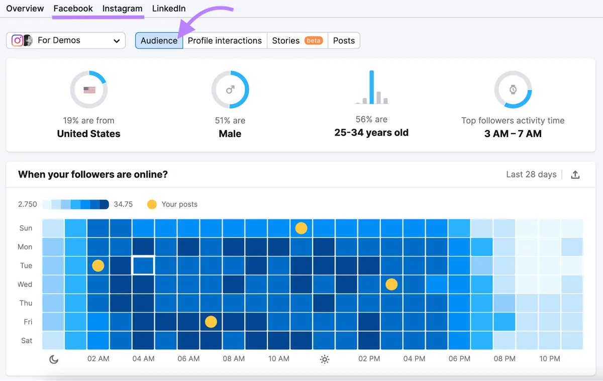 Social Analytics 工具中 Facebook 和 Instagram 报告里“受众”标签页的示例