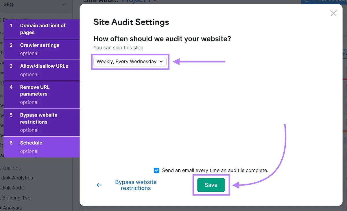 保存 Site Audit 设置