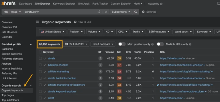 Site Explorer 中的自然搜索关键词报告