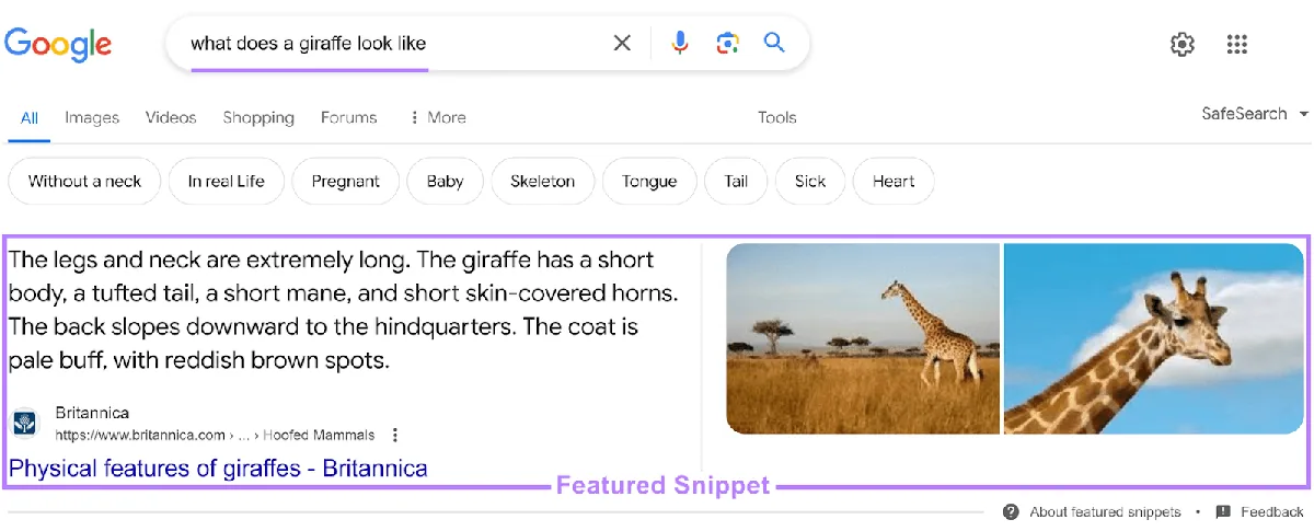 “what does a giraffe look like”的 Google 搜索结果页面，展示包含简短段落、链接、标题和图片的精选摘要。