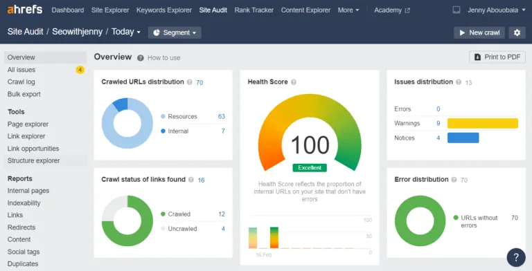 Ahrefs 的 Site Audit 中的健康评分指标
