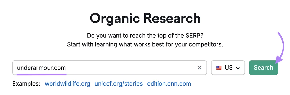 在 Organic Rankings 工具中输入的域名