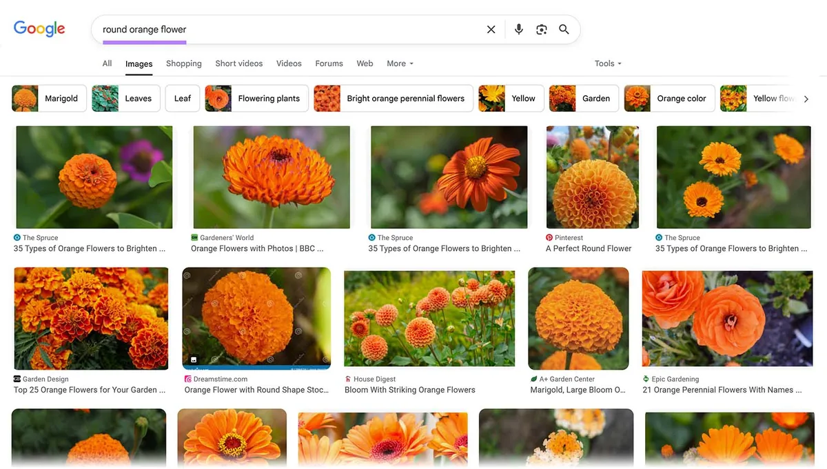 Google 图片中“round orange flower”的搜索页面,包含各种花卉照片