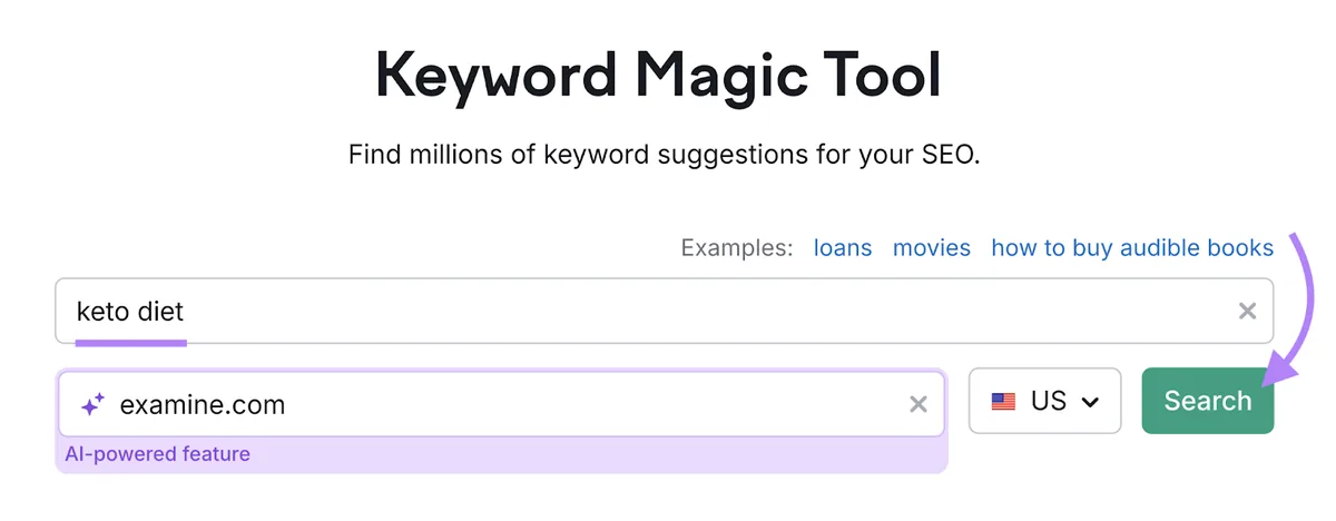在 Keyword Magic Tool 中输入的关键词