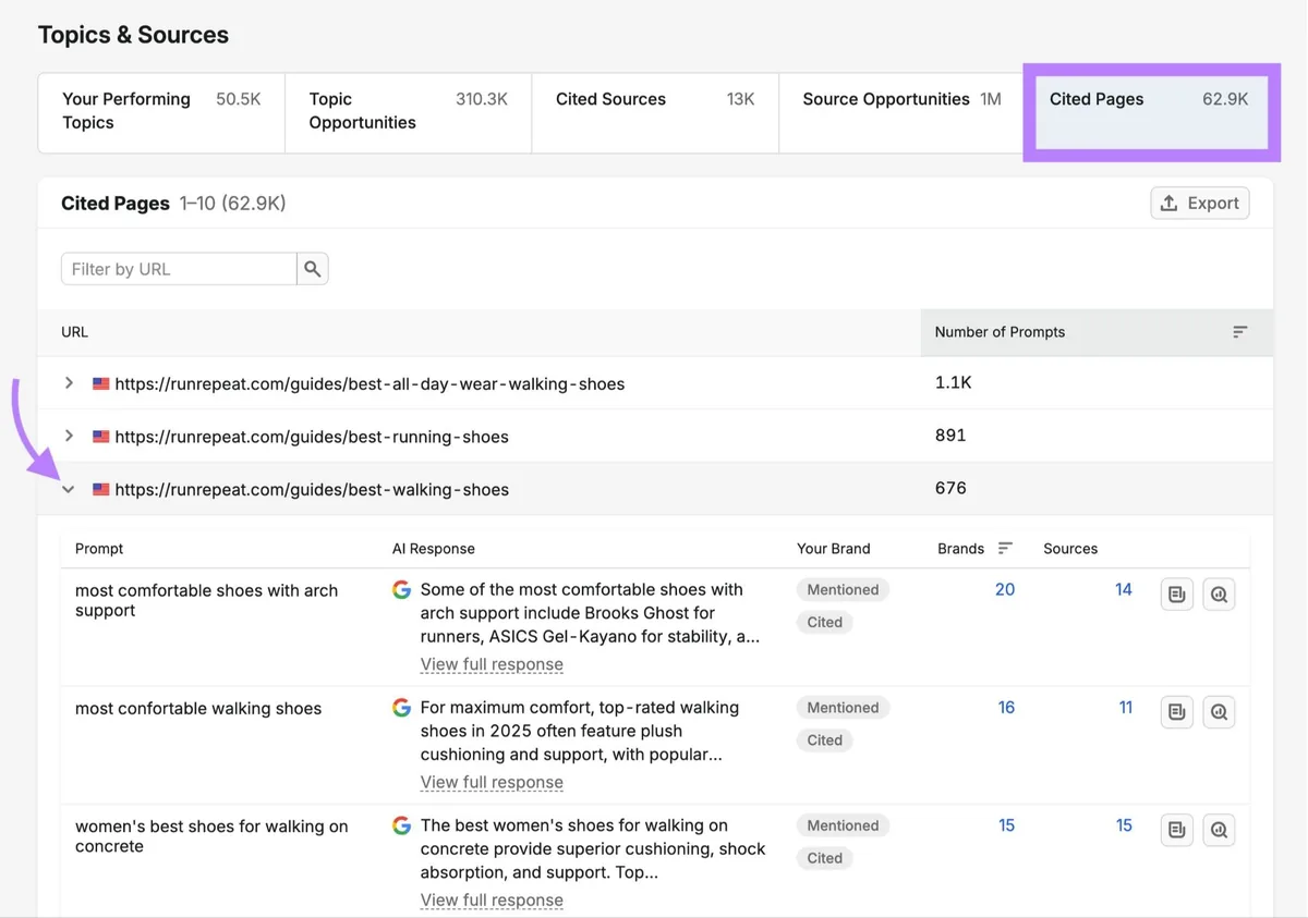 Visibility Overview 上的“Cited Pages”，展开某 URL 显示其被引用的提示词列表。