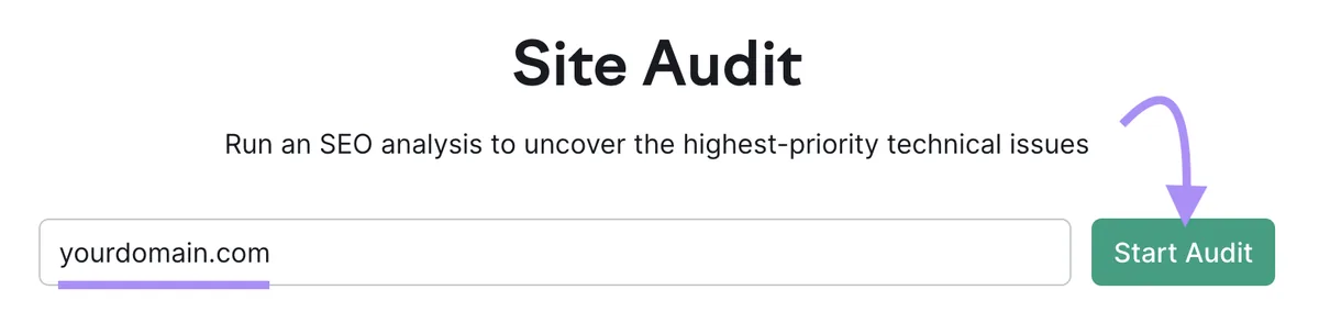 Site Audit 工具搜索栏