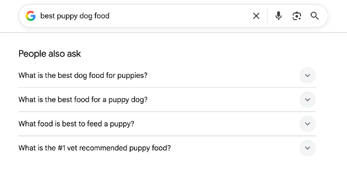 针对 “best puppy dog food” 的 Google 搜索,显示一个 “People also ask” 框,包含四个折叠的问题,每个都在询问幼犬最佳食物的不同说法。