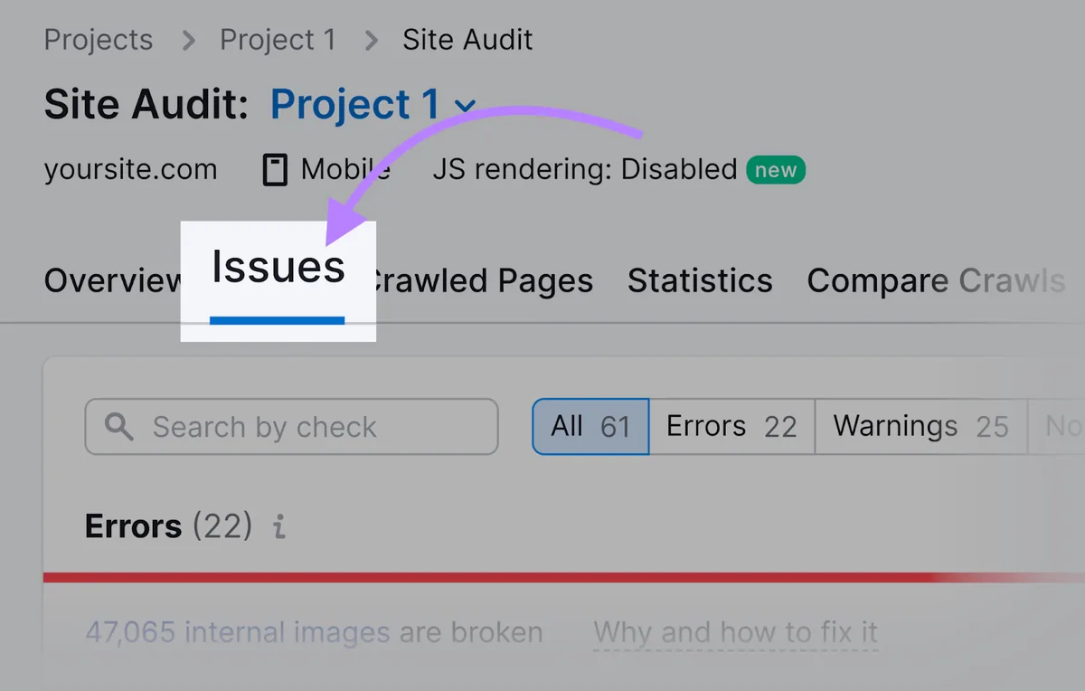 Site Audit 工具中的 Issues 按钮