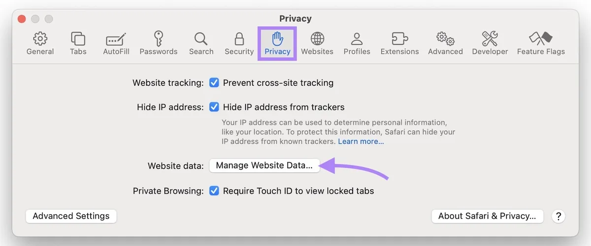 Safari 设置中的“Privacy”标签页，点击了“Manage Website Data...”。
