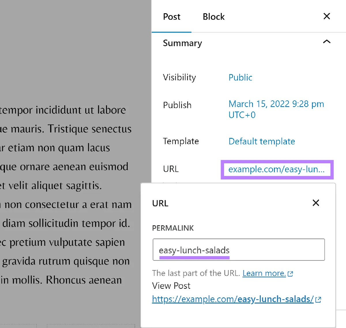 点击并高亮 WordPress 文章设置中的 URL 超链接,显示 URL 配置弹窗并高亮 URL slug