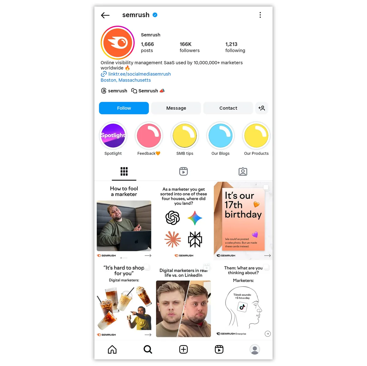 Instagram 资料页面,展示简介、精选故事和近期帖子。