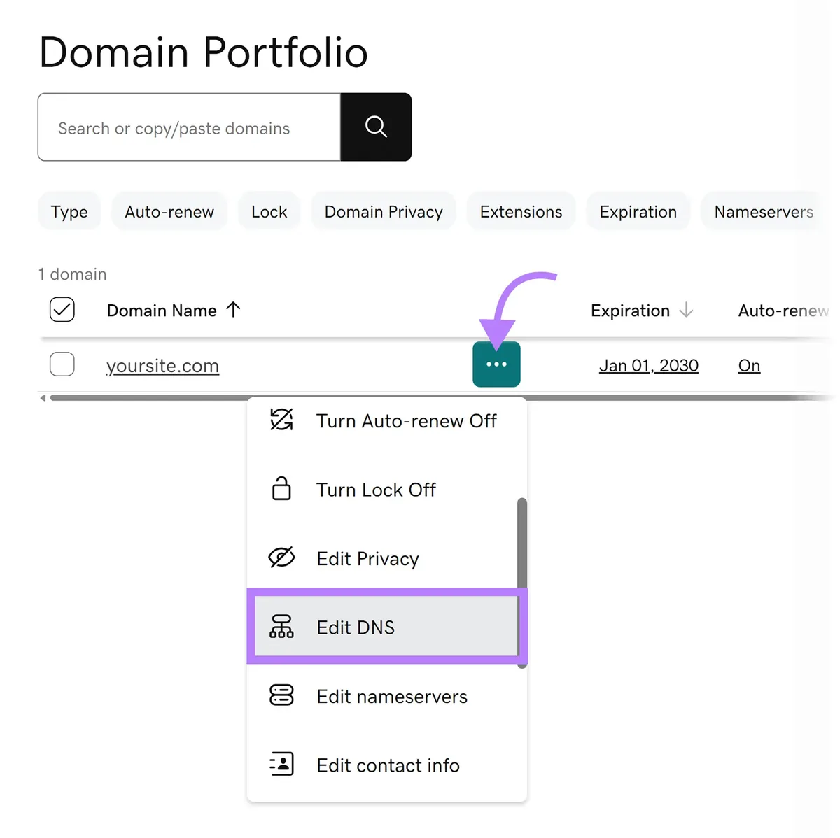 yoursite.com 的 Domain Portfolio 菜单,“Edit DNS”选项高亮