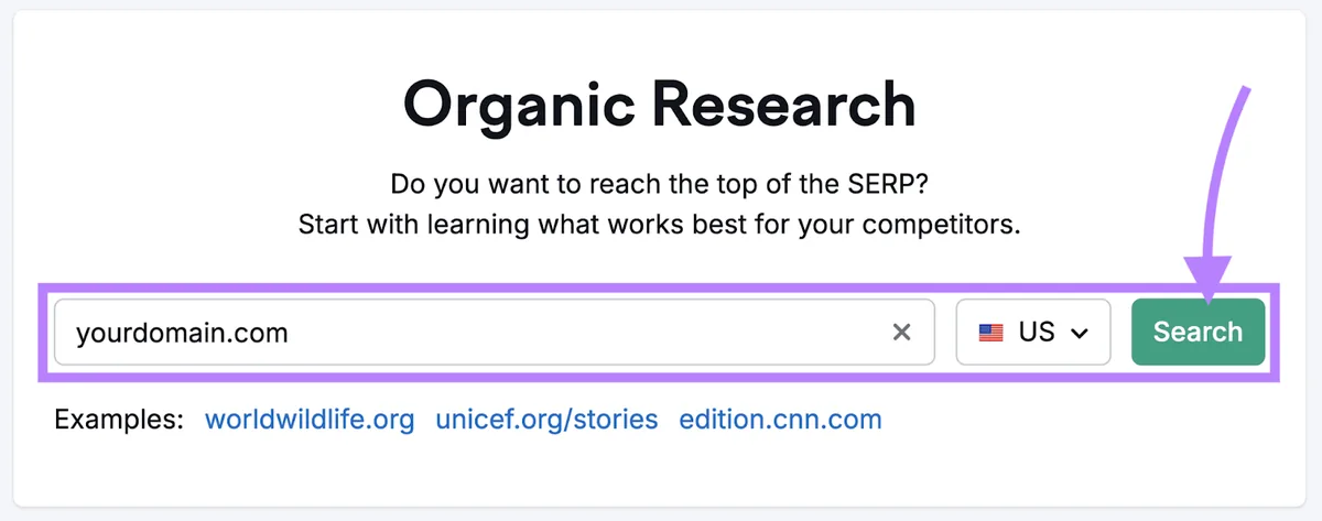 Organic Rankings 工具主页,URL 字段中输入了“yourdomain.com”